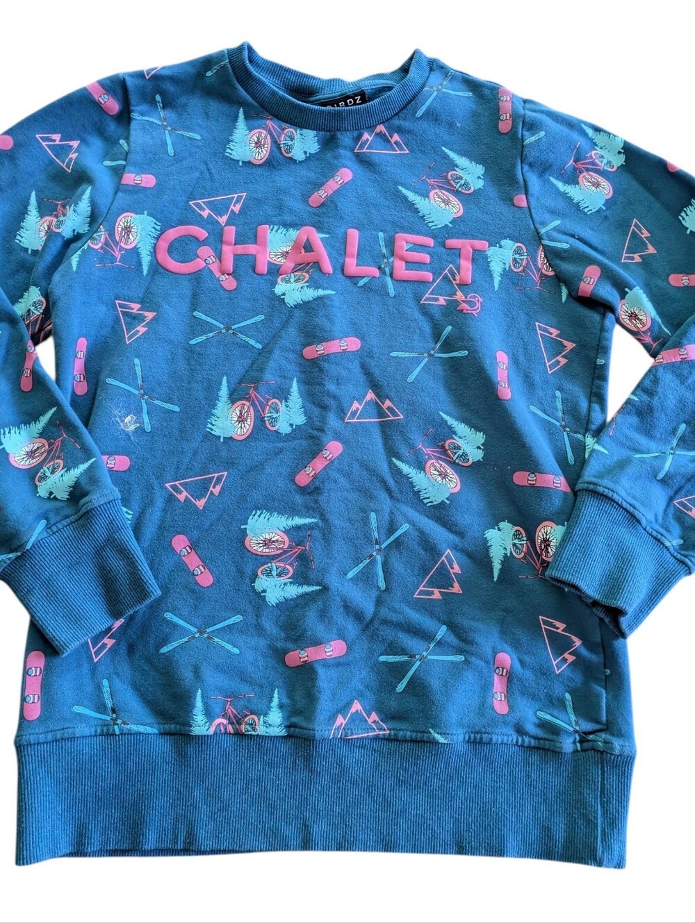 NWOT Chalet Teal Blue Sweatshirt with Pink & Aqua Graphics